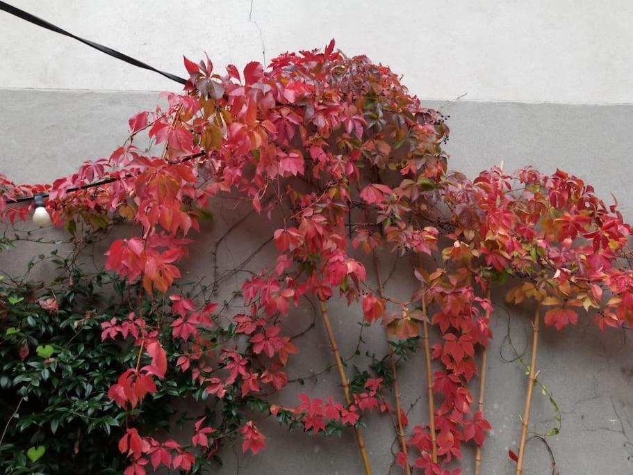 Duplex Dans Village Avec Jardin Hébergement de vacances *